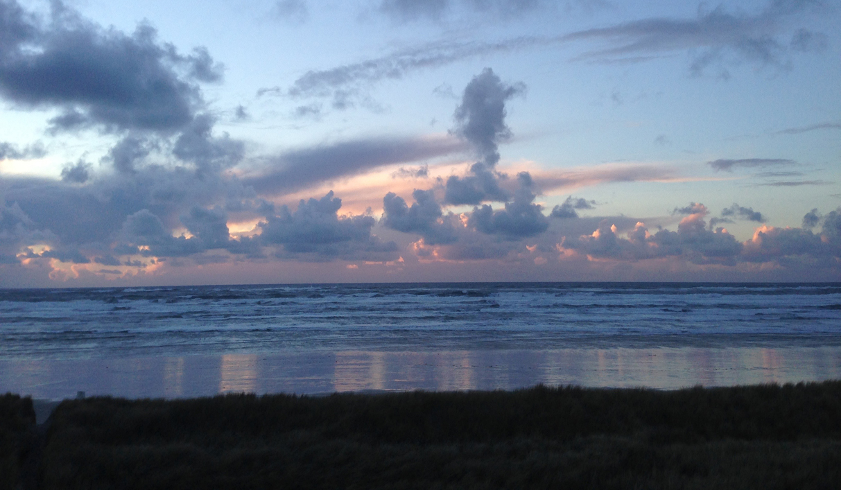 Beach (horses)